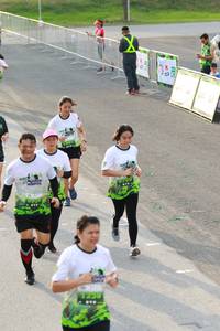 BIB: 
                            <button type="button" onclick="openModal(3550065)" class="btn btn-primary btn-sm float-right btn-popup" data-toggle="modal" data-target=".modal-high-quality">
                        <i class="fas fa-shopping-cart"></i> Add to Cart
                    </button>
                                            <button type="button" onclick="isThisMe(3550065, true)" class="btn btn-success btn-sm float-right btn-popup btn-isme hidden" data-toggle="tooltip" data-placement="bottom" title="นี่คือรูปของคุณใช่ไหม คลิกที่นี่เพื่อเอาเข้าอัลบั้ม">
                        <i class="fas fa-plus"></i> Add to album
                    </button>
                    <button type="button" onclick="isThisMe(3550065, false)" class="btn btn-warning btn-sm float-right btn-popup btn-isnotme hidden">
                        <i class="fas fa-ban"></i> Remove from album
                    </button>